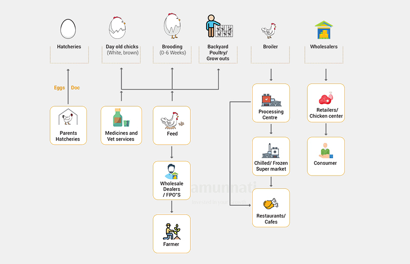 Samunnati's financial solutions for poultry and dairy FPOs are built from insight acquired from the agricultural ecosystem.