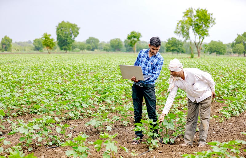 A farmer finding advisory as a part of Samunnati's unique financing approach in the agri value chain.