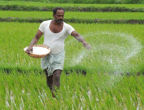 Unlocking the Potential of India’s Agricultural Sector