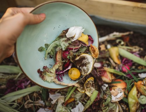 Fighting Food Waste: How “Conscious Consumption” helps reduce the burden?