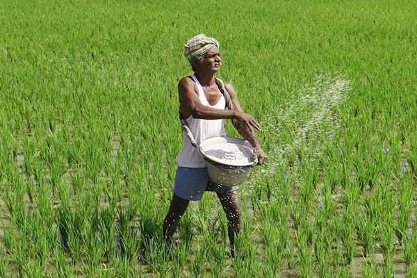 Why open agri-networks are key to scaling Agri 4.0 in India