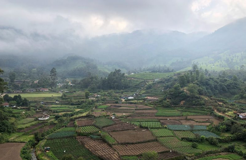 Press release: Symbiotics launches USD 6.75 million (INR 506,250,000) Social Bond with Samunnati Financial Intermediation & Services Private Limited in India