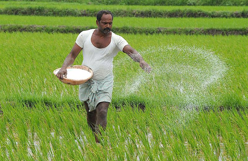 Unlocking the Potential of India’s Agricultural Sector