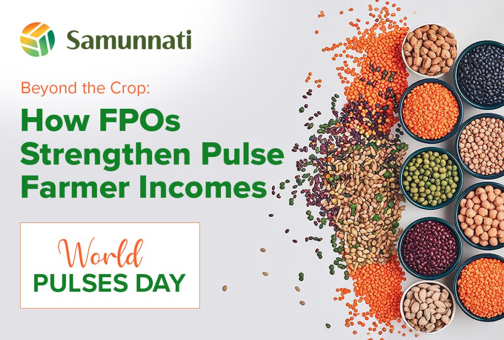 World Pulses Day: How Pulse-Growing FPOs Help Farmers Earn Better