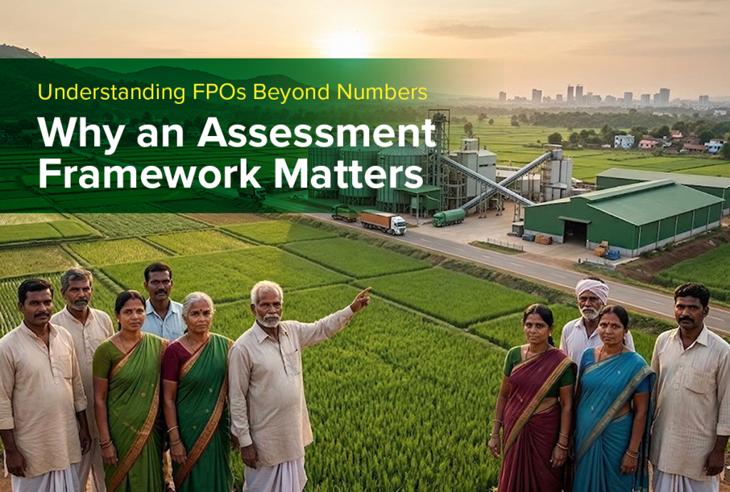 Understanding FPOs Beyond Numbers: Why an Assessment Framework Matters